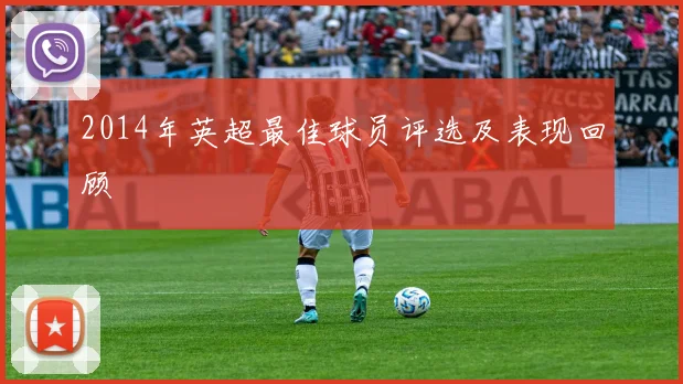 2014年英超最佳球员评选及表现回顾