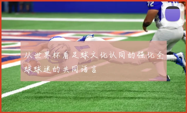 从世界杯看足球文化认同的强化全球球迷的共同语言