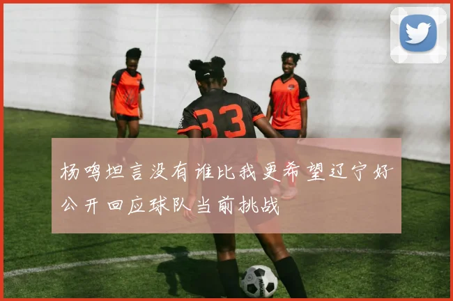 杨鸣坦言没有谁比我更希望辽宁好公开回应球队当前挑战