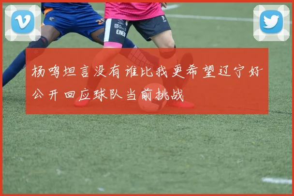 杨鸣坦言没有谁比我更希望辽宁好公开回应球队当前挑战