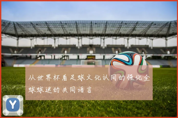 从世界杯看足球文化认同的强化全球球迷的共同语言
